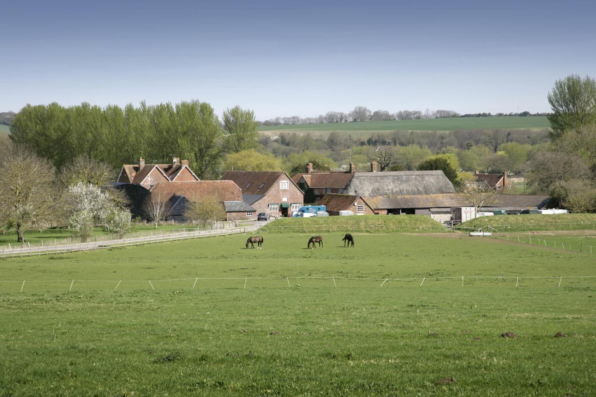 The Old Stables Self Catering Salisbury Exterior foto
